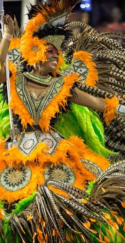 Detalhe do Carnaval de São Paulo