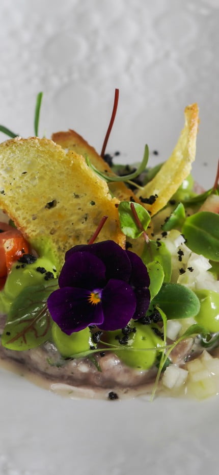 Detalhe de um prato gourmet