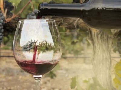 Foto de vinho tinto despejado em copo de garrafa sobre fundo desfocado de um vinhedo logo antes da colheita, com ramos de uvas pendurados. Com um espaço para texto